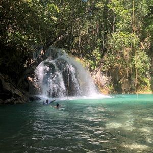 Meet your Posher, Sophia